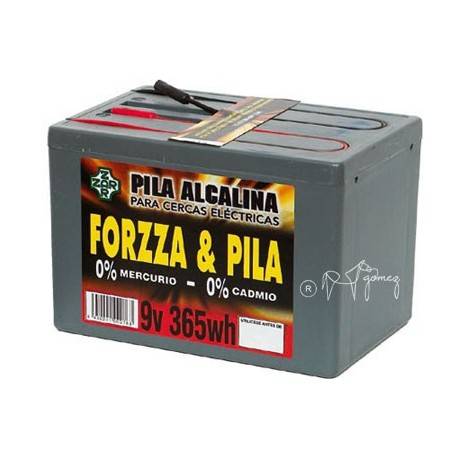 PASTOR - PILA FORZA 9V, 365W/HORA ALCALINA