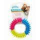 Juguete Rainbow Word Pawise-Ring 12,5 cm
