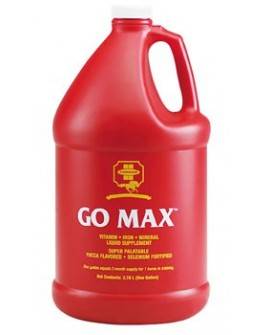 GO MAX 3,8 L.