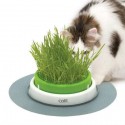 Catit Senses 2.0 Cat Grass Kit 3Pc Recarga