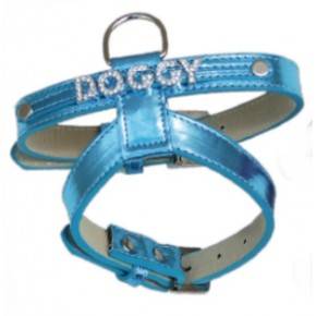 Collar Brightdoggy azul-10 mm x 22/30 cm