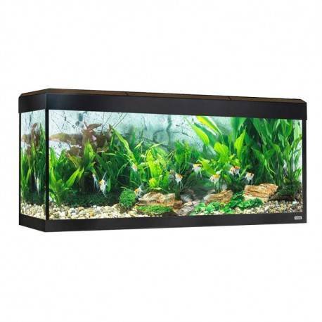 KIT ACUARIO FLUVAL ROMA 240 CON ILUMINACIÓN LED NOGAL