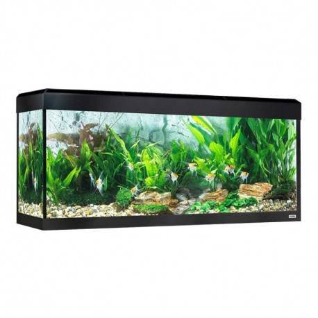 KIT ACUARIO FLUVAL ROMA 240 CON ILUMINACIÓN LED-NEGRO