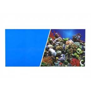 MARINA  FONDO Azul/Coral 45 cmX7,6 m