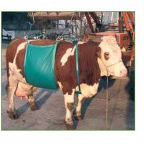 Elevador de vacas para levantar y sostener la vaca.   Hasta 1.000 kg.