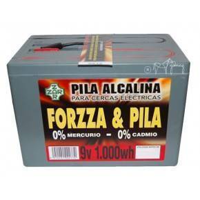 PASTOR - PILA FORZA 9V, 1000W/HORA ALCALINA
