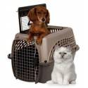 TRANSPORTIN VARI KENNEL 60 cm. 2 PUERTAS GRIS