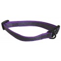 COLLAR NYLON CON GOMA 25 MM 40-65 CM