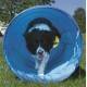 TUNEL AGILITY 2 METROS   200 x 60 CM.