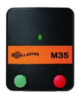 PASTOR GALLAGHER M35