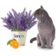 SANICAT SUPERPLUS / LAVENDER 16 LITROS 11,56 KG