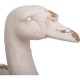 MACETERO CISNE DECOR DE MAGNESIO