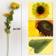 PACK DE 12 VARAS DE GIRASOL ARTIFICIALES CON 3 CABEZAS DE 66 CM