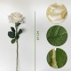 PACK DE 6 RAMOS DE ROSAS CON TACTO NATURAL DE 69 CM CON FLOR DE 11 CM EN COLOR BLANCO