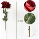 PACK DE 12 RAMOS DE ROSAS DE 75 CM EN TERCIOPELO COLOR ROJO