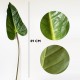 PACK 24 HOJAS DE ANTHURIUM ARTIFICIALES DE DECORACIÓN 89 CM DE GOMA