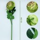 PACK DE 12 RAMOS DE RANUNCULO GIGANTE CON TACTO NATURAL 55 CM CON FLORES DE 12 CM EN COLOR VERDE