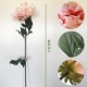 PACK DE 6 RAMOS DE DALÍA GIGANTE DE 110 CM CON FLORES DE 28 CM EN COLOR ROSA