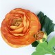 PACK DE 12 RAMOS DE RANUNCULO GIGANTE CON TACTO NATURAL 55 CM CON FLORES DE 12 CM EN COLOR NARANJA