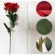 PACK DE 12 RAMOS DE ROSAS CON TACTO NATURAL DE 69 CM CON FLOR DE 11 CM EN COLOR ROJO