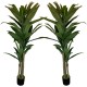 PACK 2 PLANTAS TRONCO DE BRASIL ARTIFICIALES DE 190 CM DE ALTURA CON MACETA