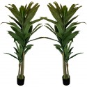 PACK 2 PLANTAS TRONCO DE BRASIL ARTIFICIALES DE 190 CM DE ALTURA CON MACETA