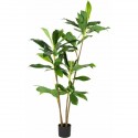 PLANT ARTIFICIAL DRACAENE 175CM IN POT. REAL TOUCH. BARCODE ETC ON HANGTAG. ITEM IS PACKED PER 2 IN OUTERCARTON., HANGTAG/ 1X1X1