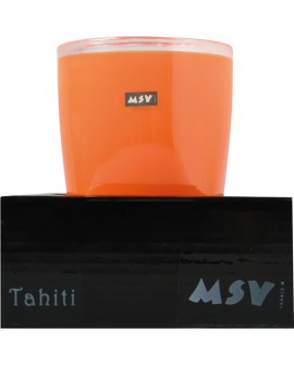 VASO PORTA CEPILLOS DE DIENTES TAHITI NARANJA