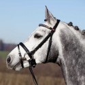 CABEZADA PARA FILETE KIEFFER MAGIC TACK-COB