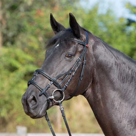 CABEZADA PARA FILETE KIEFFER ULTRASOFT COMBI BRIDLE-FULL