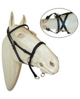 BITLESS BRIDLE EN BIOTANE-SIN RIENDAS.