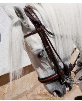 CABEZADA CUERO INGLÉS CON DOBLE RIENDA COSIDA EN REDONDO