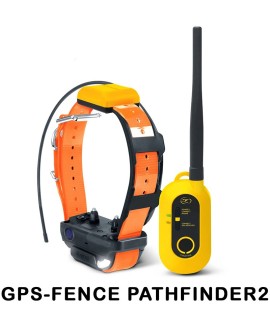 GPS Y ADIESTRAMIENTO DOGTRA PATHFINDER