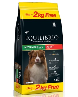 Equilibrio Dog Adult Medium 12+2kg